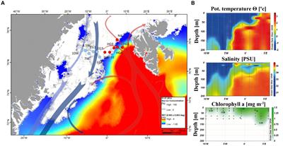 Microbial Communities in the East and West Fram Strait During Sea Ice Melting Season